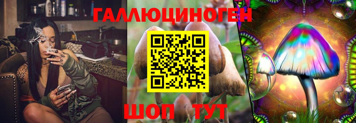 Галлюциногенные грибы Magic Shrooms  дарнет шоп  Острогожск  Псилоцибиновые грибы Psilocybine cubensis  Вход с VPN 